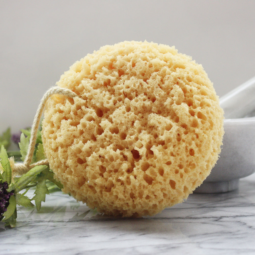 5 Inch Natural Sponge